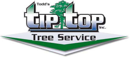 Todd's Tip Top Tree Service, Inc.