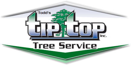 Todd's Tip Top Tree Service, Inc.